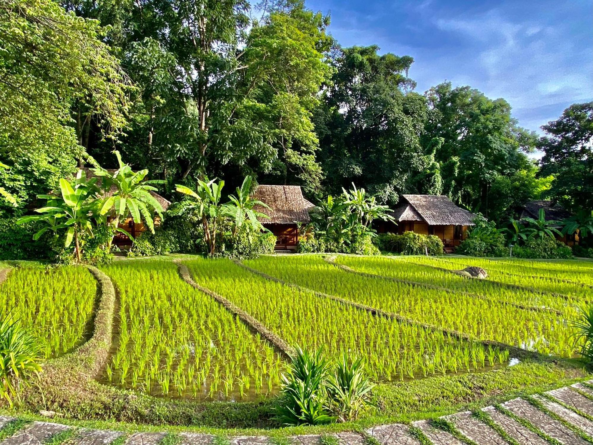 Fern Resort Mae Hong Son Buitenkant foto