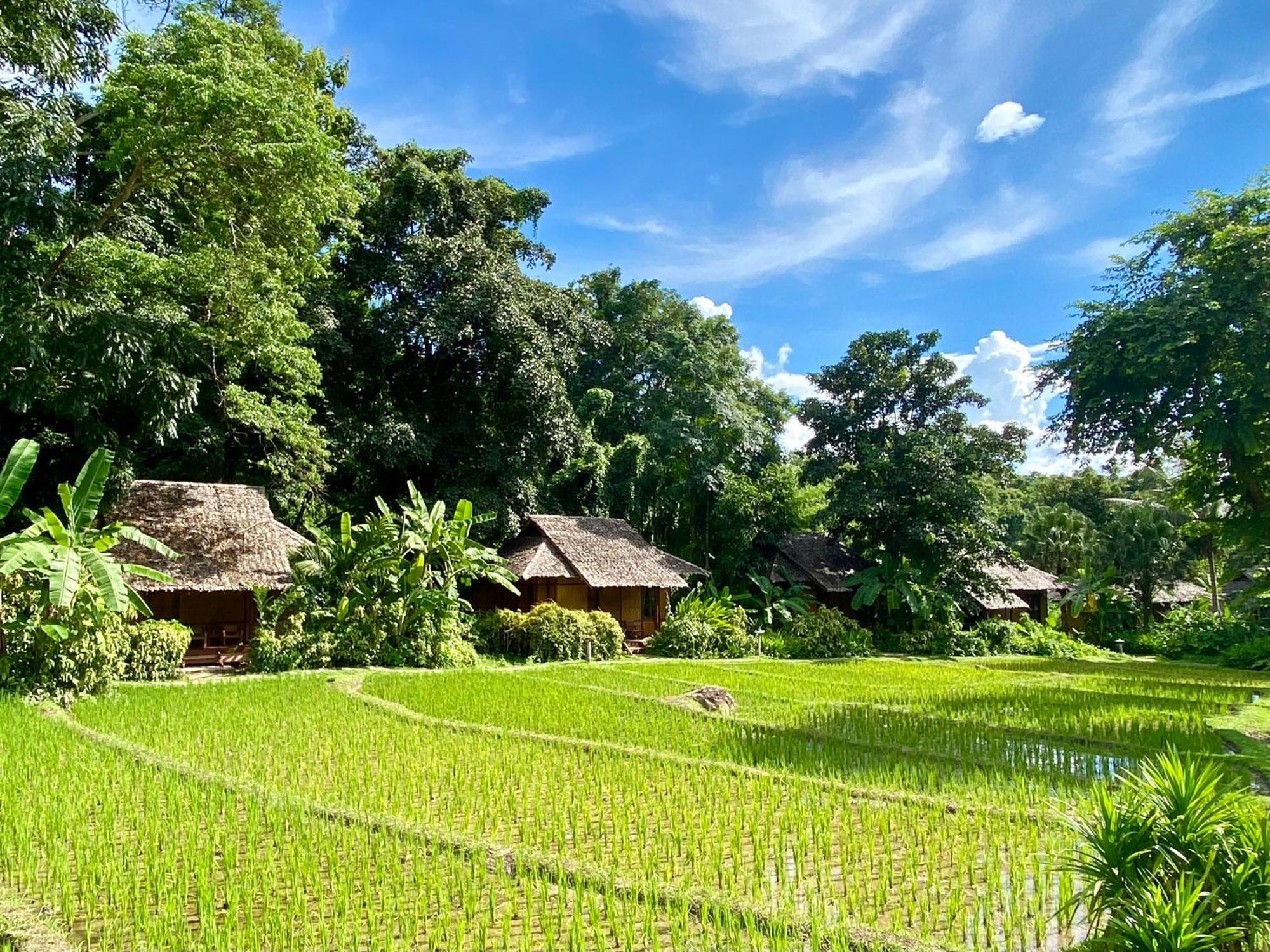 Fern Resort Mae Hong Son Buitenkant foto