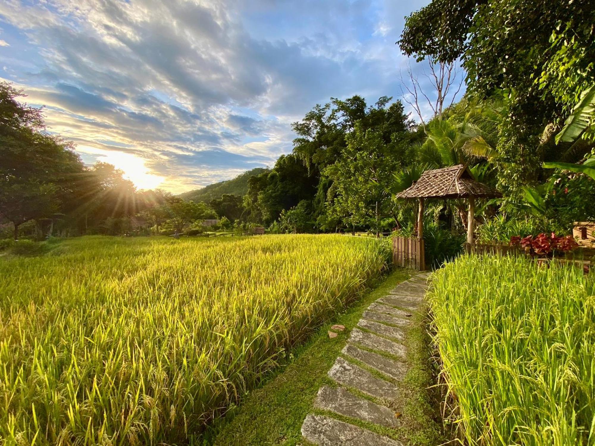 Fern Resort Mae Hong Son Buitenkant foto