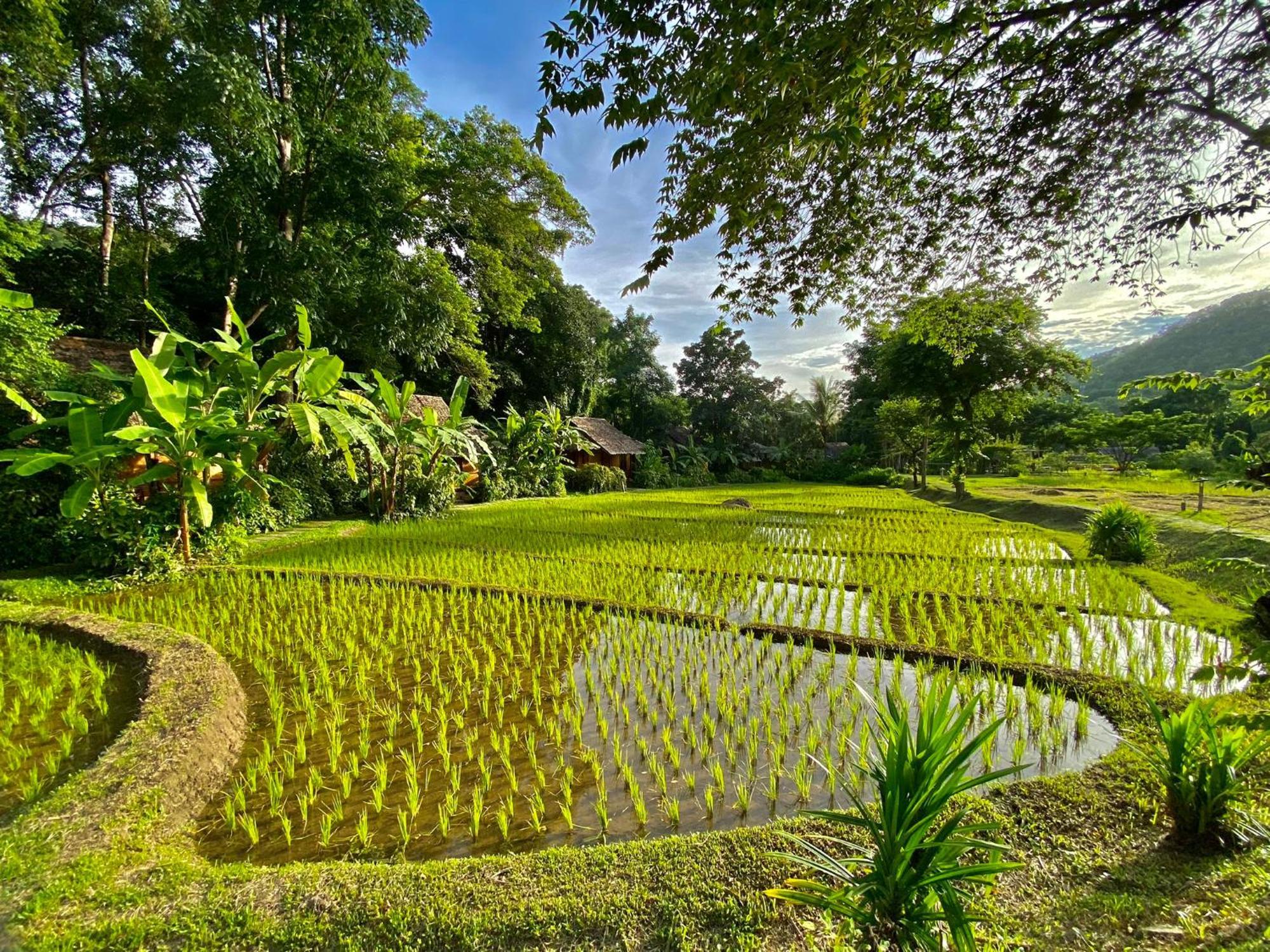 Fern Resort Mae Hong Son Buitenkant foto