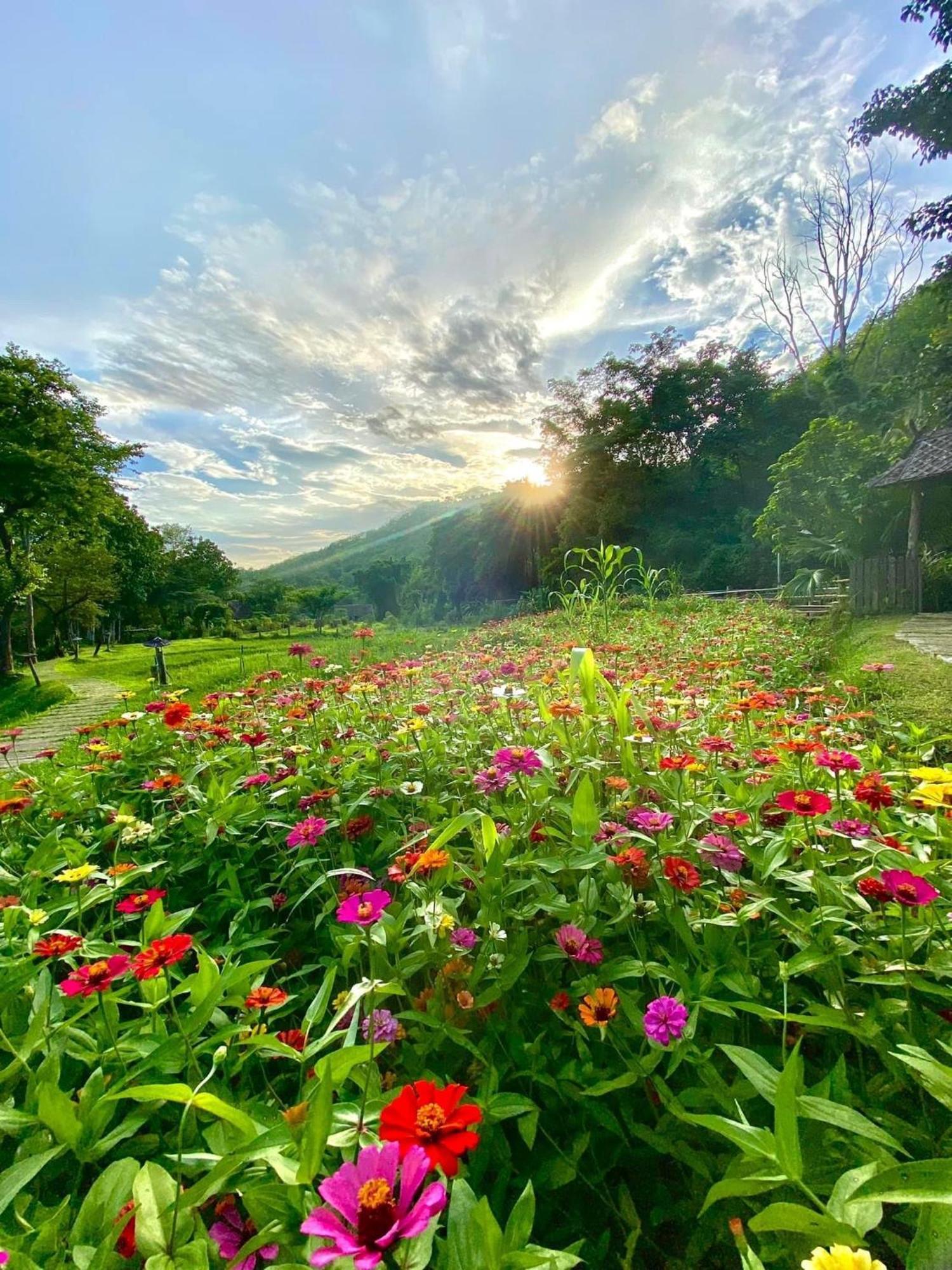 Fern Resort Mae Hong Son Buitenkant foto