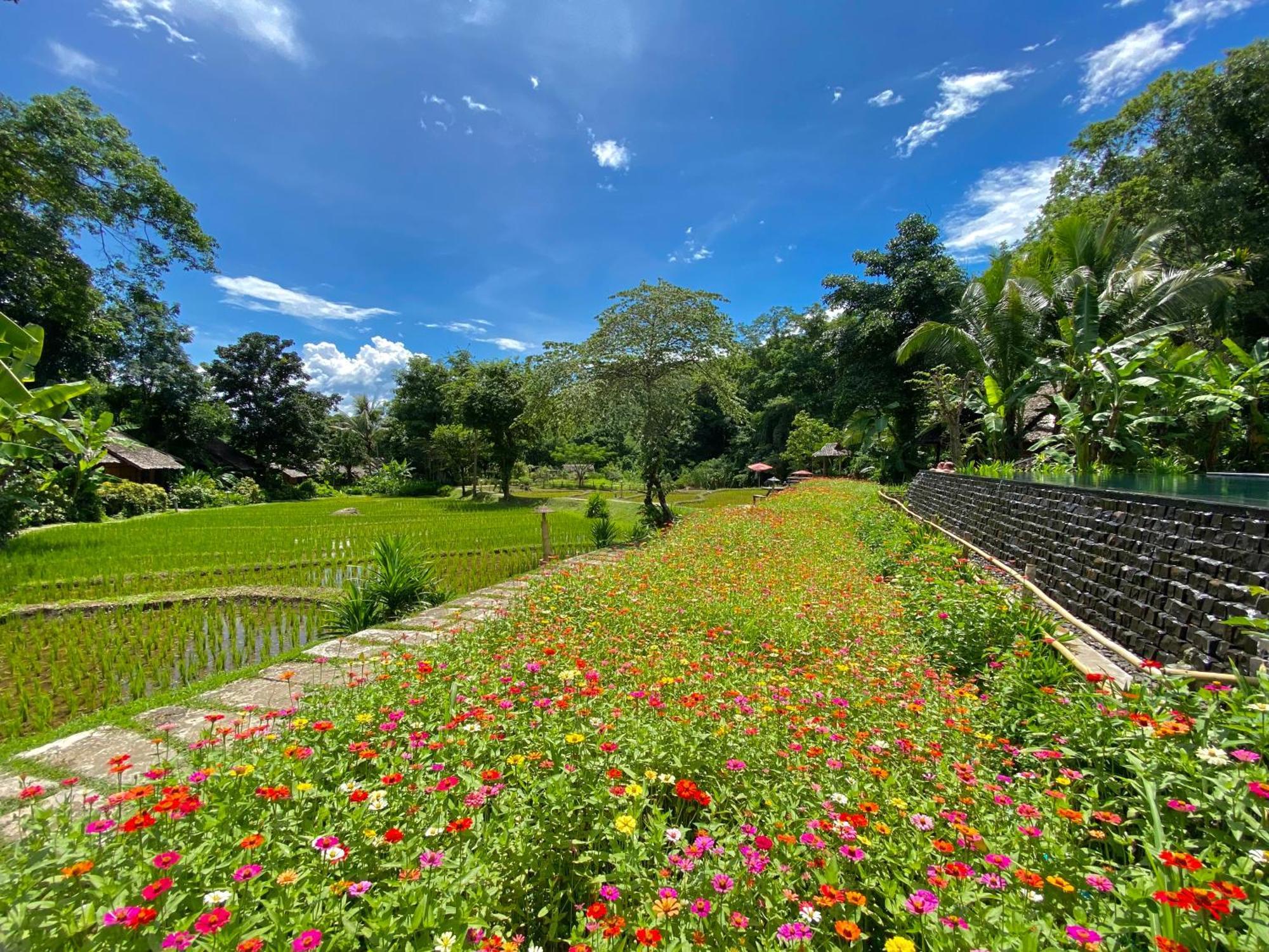 Fern Resort Mae Hong Son Buitenkant foto