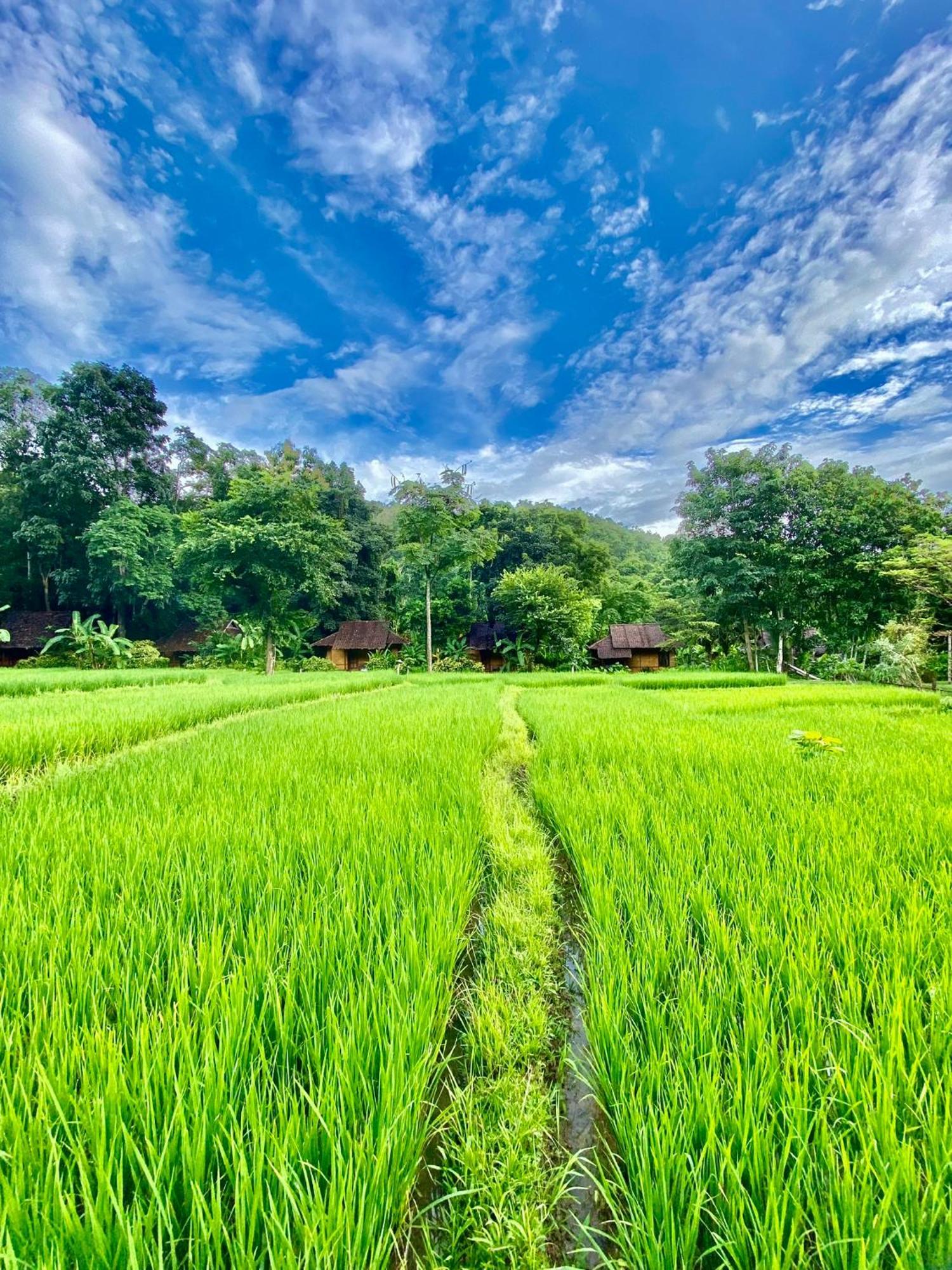 Fern Resort Mae Hong Son Buitenkant foto