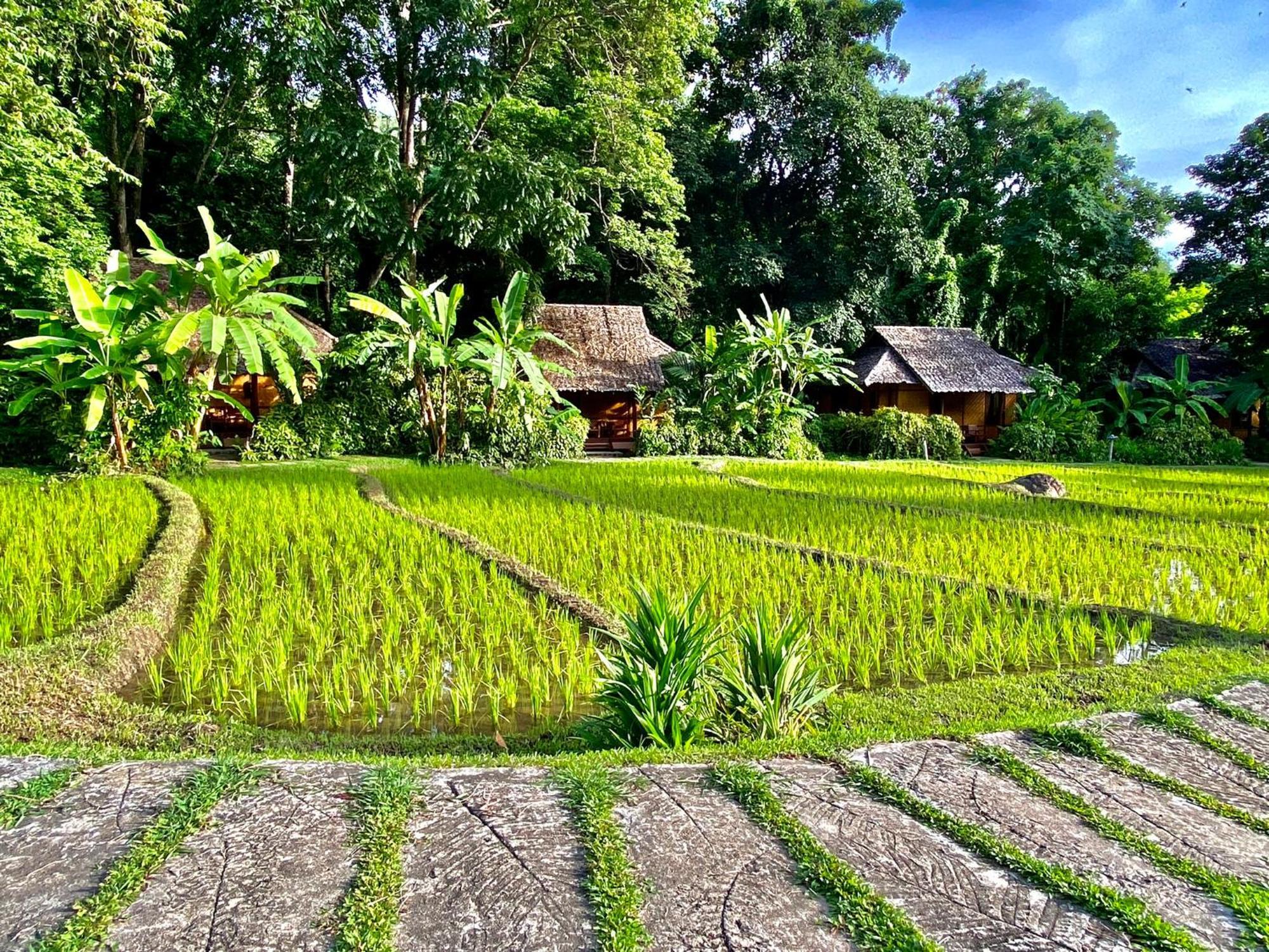 Fern Resort Mae Hong Son Buitenkant foto