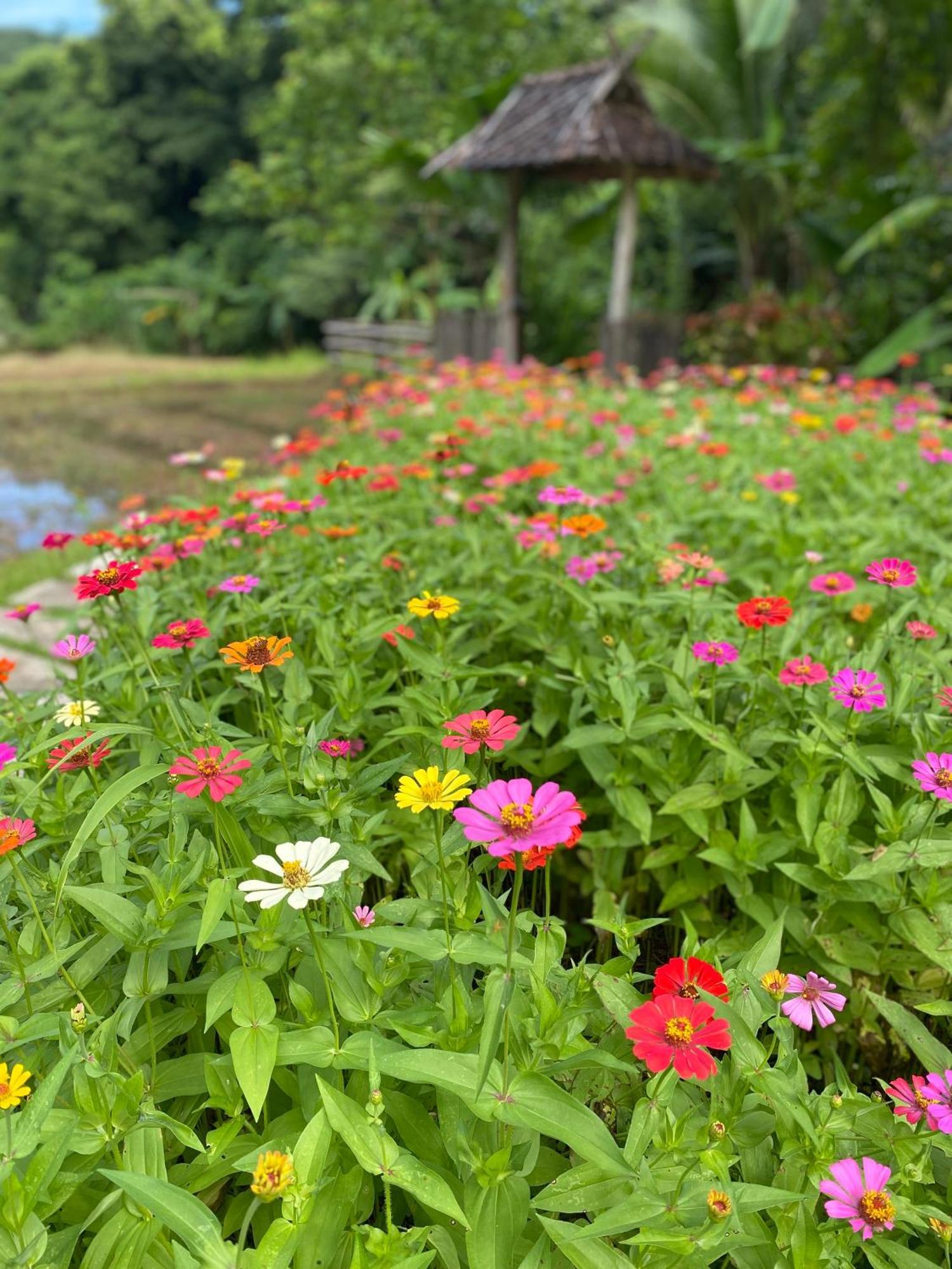 Fern Resort Mae Hong Son Buitenkant foto