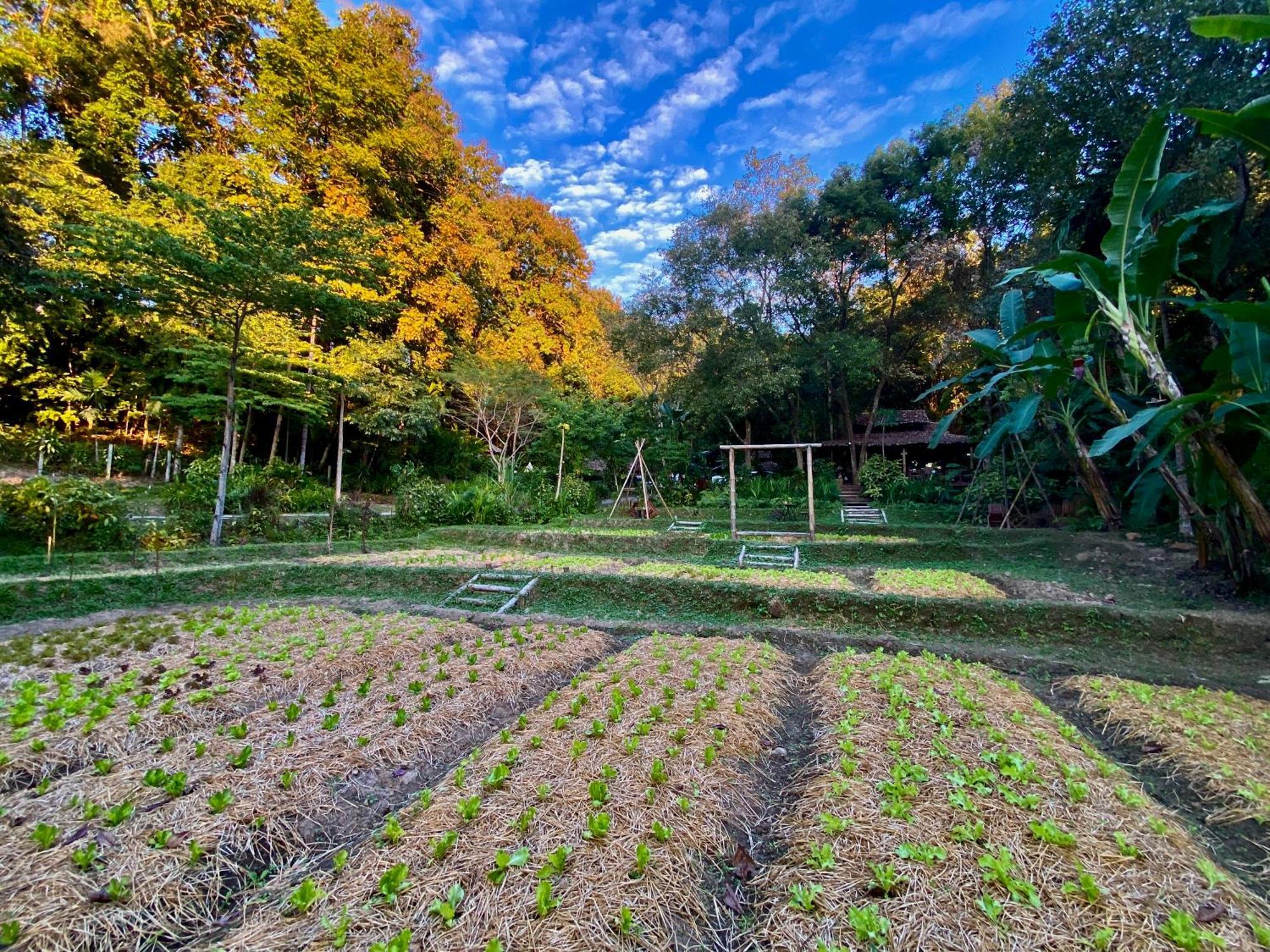 Fern Resort Mae Hong Son Buitenkant foto