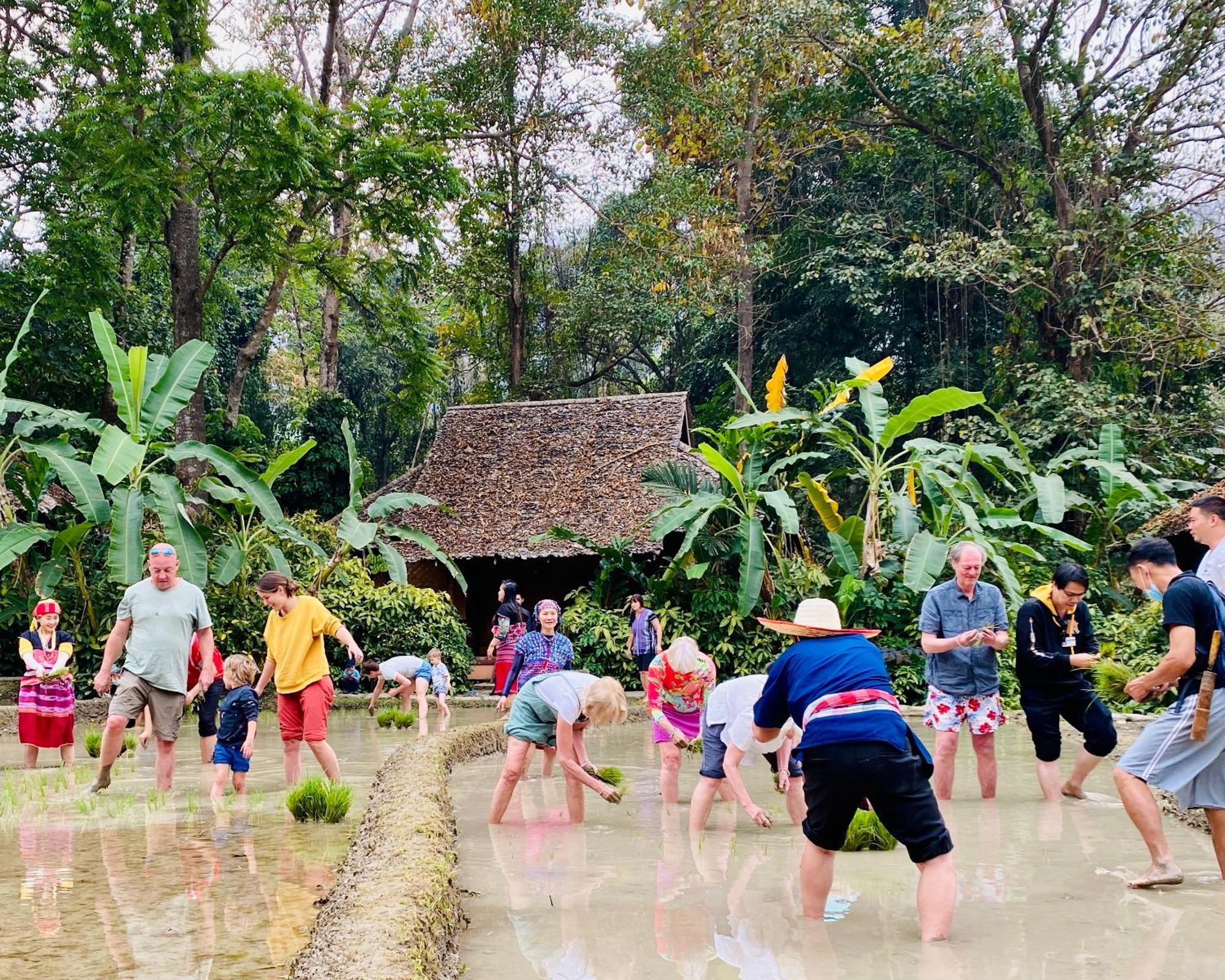 Fern Resort Mae Hong Son Buitenkant foto