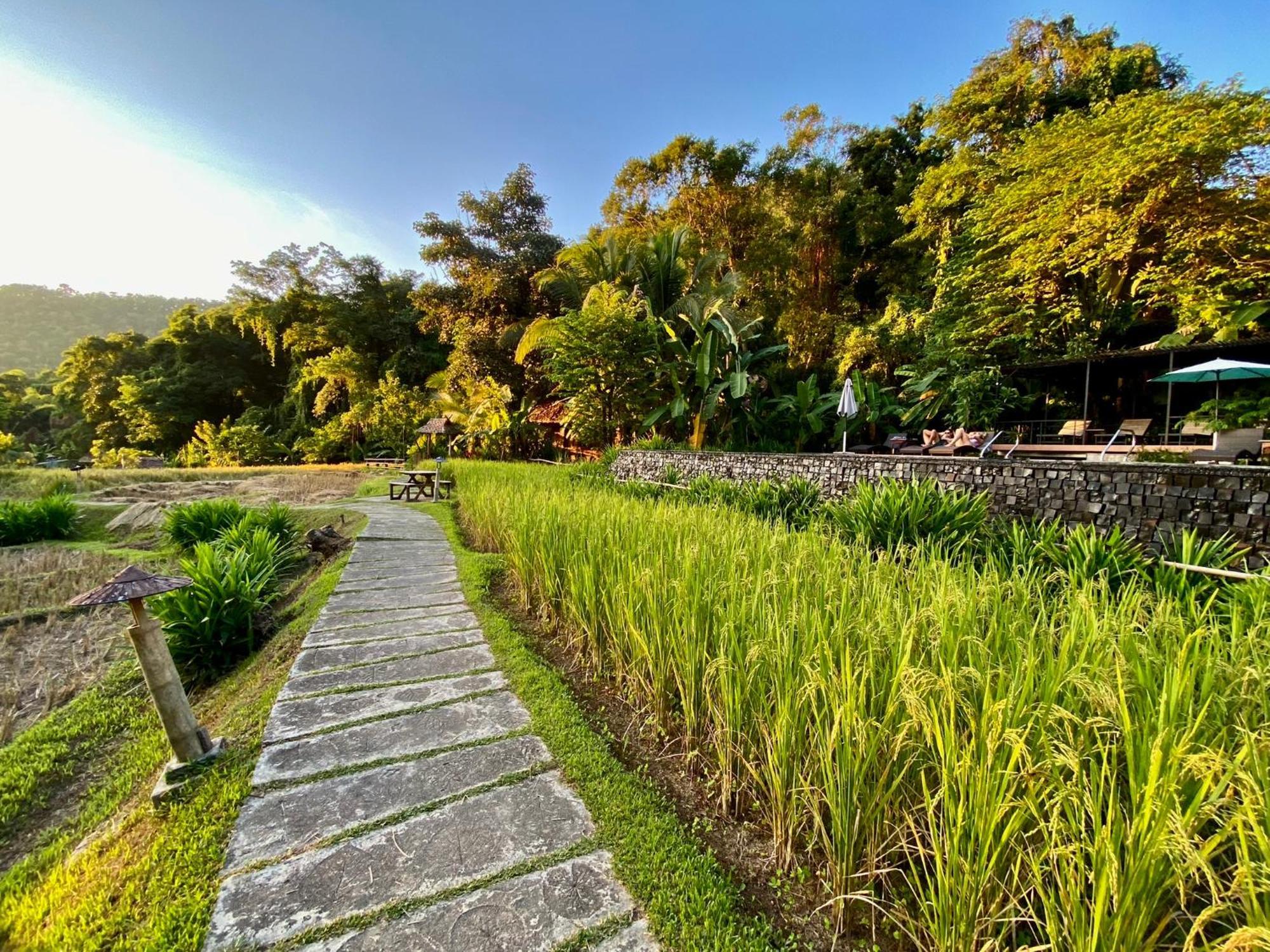 Fern Resort Mae Hong Son Buitenkant foto