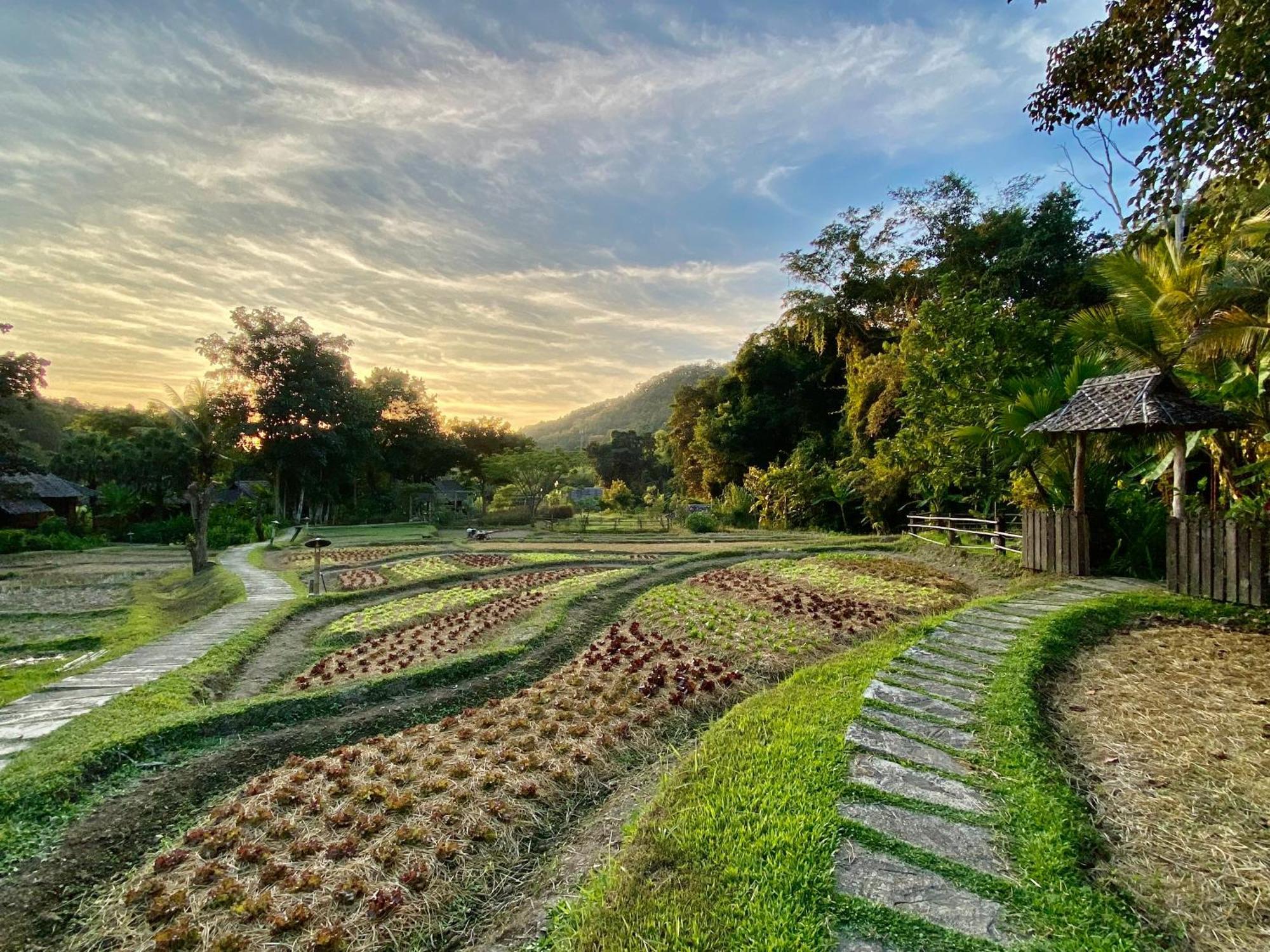 Fern Resort Mae Hong Son Buitenkant foto