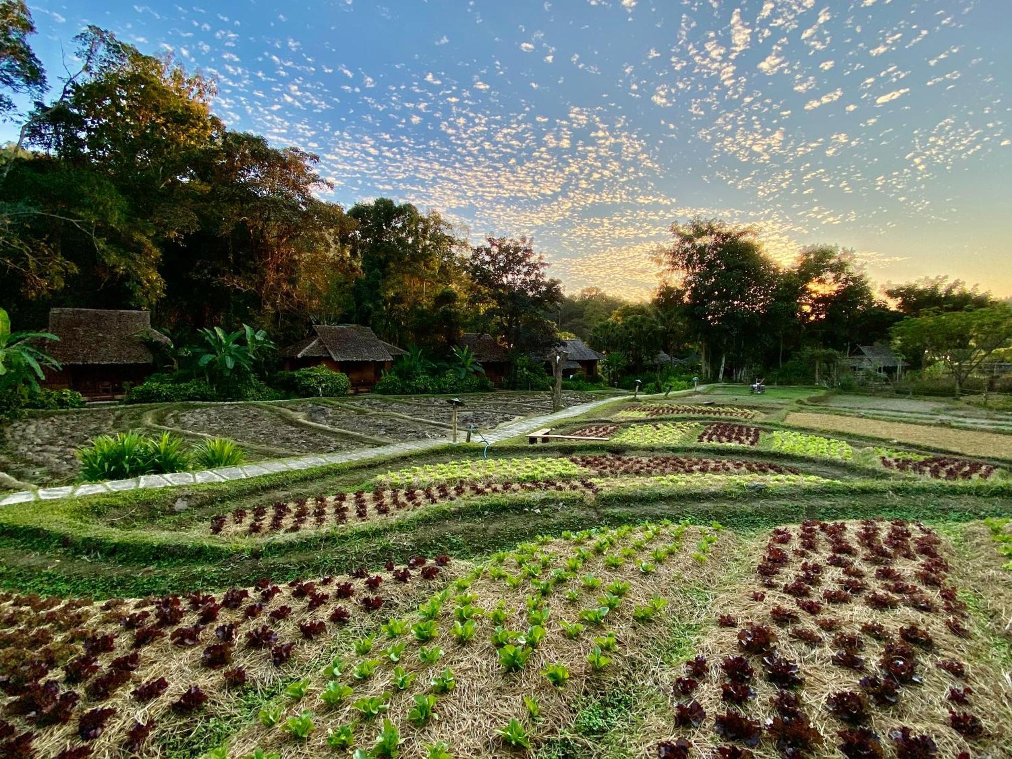 Fern Resort Mae Hong Son Buitenkant foto