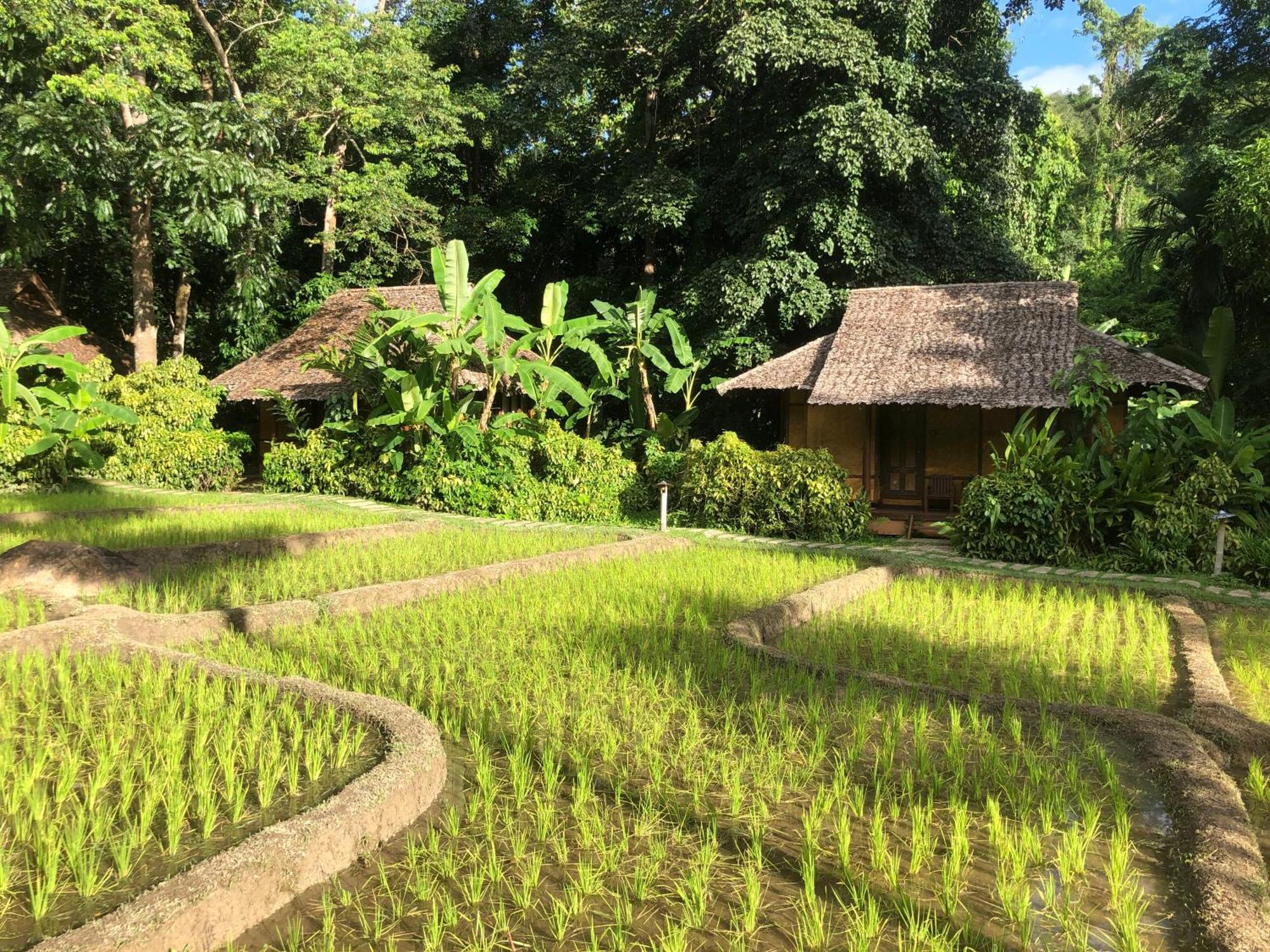 Fern Resort Mae Hong Son Buitenkant foto